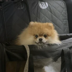 LMPA-Gallery13_original