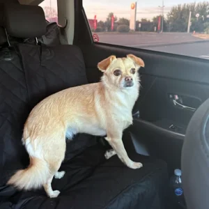 LMPA-Gallery14_original