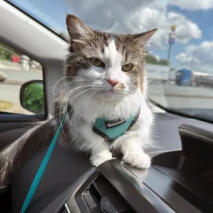 LMPA-Gallery15_original