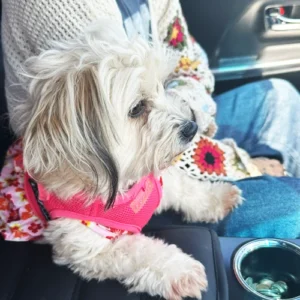 LMPA-Gallery3_original