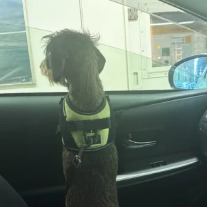 LMPA-Gallery4_original