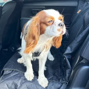 LMPA-Gallery5_original