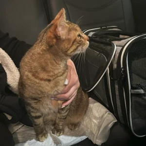 LMPA-Gallery9_original