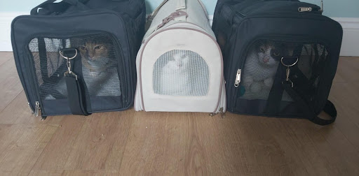 Photo from customer review