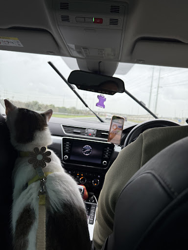 Photo from customer review