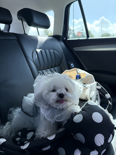 Photo from customer review