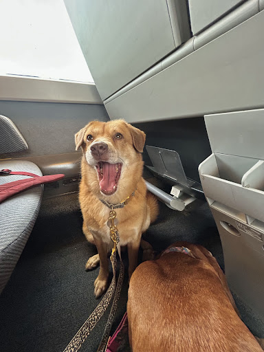 Photo from customer review