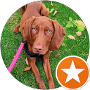 Jade Franetzki profile picture