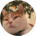 M M profile picture