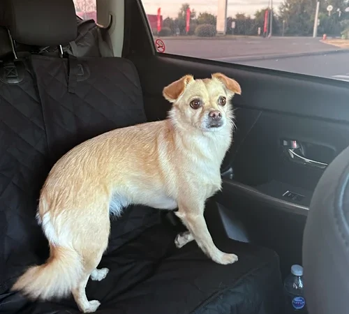 LMPA-Gallery14_original