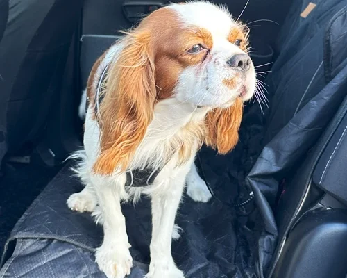 LMPA-Gallery5_original